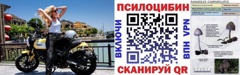 Псилоцибиновые грибы ЛСД Выкса